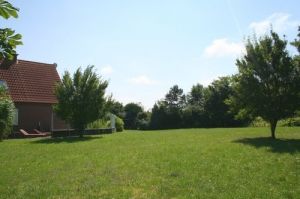 Bild 9: Am Sommerdeich Ferienhaus in Dornumersiel