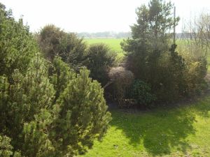 Bild 10: Am Sommerdeich Ferienhaus in Dornumersiel