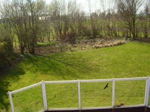 Bild 12: Am Sommerdeich Ferienhaus in Dornumersiel