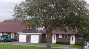 Bild: Haus Tötel im Nordseeheilbad Friedrichskoog-Spitze