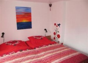 Bild 7: Hundefreundliches Ferienhaus zur Alleinnutzung mit eingezäuntem Garten