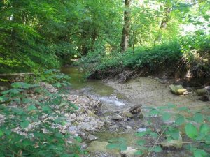 Bild 12: Das blaue Haus