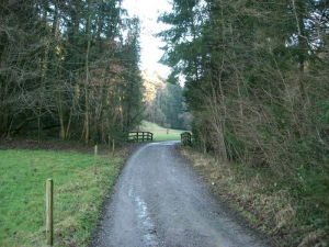 Bild 15: Das blaue Haus