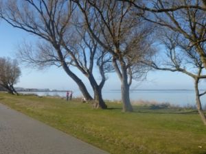Der Wieker Bodden mit Blick zur Insel Hiddensee. - Bild 8: Fewo am Wieker Bodden 80m zum Wasser, Terrasse, Balkon, Garten, Fahrräder