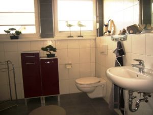 Duschbad mit Waschmaschine - Bild 13: Fewo am Wieker Bodden 80m zum Wasser, Terrasse, Balkon, Garten, Fahrräder