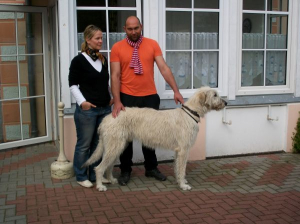 unser bis dato größter "Gästehund" :-)! - Bild 11: barrierefreie kinder- und hundefreundliche Ferienwohnung****im EG in Lubmin
