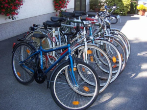 Leihfahrräder, für unsere Gäste kostelos! - Bild 15: Ferienwohnung Nagelschmidt, Region Neumarkt Oberpfalz-Amberg-Nürnberg