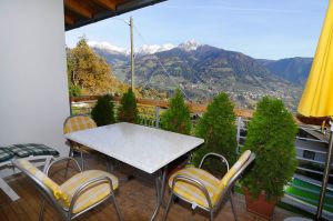 große überdachte Terrasse - Bild 2: Haus Rosengarten App. Typ "C&D"