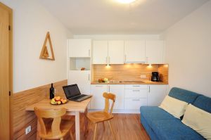 Kleines,Freundliches Appartement mit Schlafzimmer, Dusche/WC, Balkon, komplett eingerichteter Wohnküche mit Geschirrspülmaschine, TV, SAT, Safe und Terrasse. - Bild 2: Haus Rosengarten APP. Typ "B"