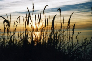 Bild 11: Ferienwohnung "Josef" Ahrenshoop