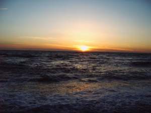 Bild 12: Ferienwohnung "Josef" Ahrenshoop