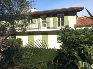 Bild 17: Ferienwohnungen im Casa Pimi in Malcesine am Gardasee