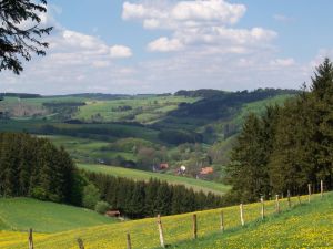 Unser kleines Dorf liegt im Diemeltal zwischen Hügeln und Wäldern. - Bild 14: Ferienhof Schmiddes, Fewo Spatzennest