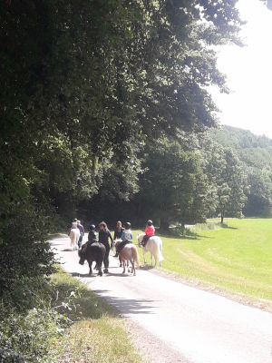 Ponyreiten auf Jacky, Pünktchen, Luke und Rocky sind der totale Hit:) - Bild 2: Ferienhof Schmiddes, Fewo Spatzennest