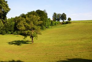 Bild 17: 4 Sterne Landhaus in idyllischer Alleinlage im Sauerland