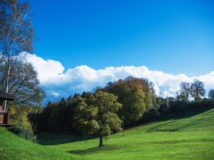 Bild 19: 4 Sterne Landhaus in idyllischer Alleinlage im Sauerland