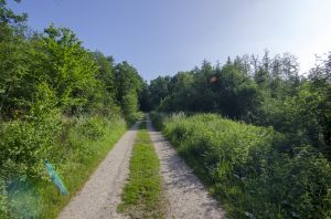 Bild 42: 4 Sterne Landhaus in idyllischer Alleinlage im Sauerland
