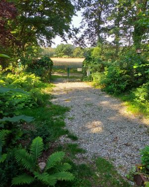 Bild 7: Kl. Blockhaus an Feld und Wald für Mensch und Hund, Gohlau 20A, Waddeweitz
