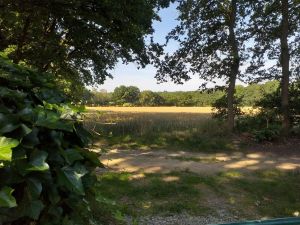 Bild 8: Kl. Blockhaus an Feld und Wald für Mensch und Hund, Gohlau 20A, Waddeweitz
