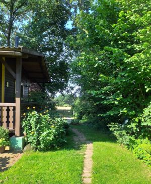 Bild 6: Kl. Blockhaus an Feld und Wald für Mensch und Hund, Gohlau 20A, Waddeweitz