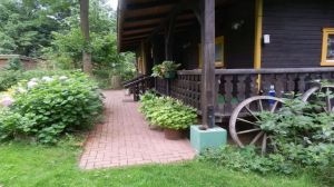 Bild 1: Kl. Blockhaus an Feld und Wald für Mensch und Hund, Gohlau 20A, Waddeweitz