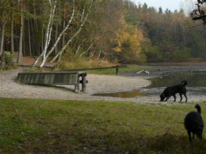 Bild 22: Urlaub im schönen Ammerland Ferienwohnung zur Rotbuche