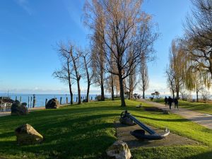Parkanlage - Bild 36: Ferienwohnung Sauer in Immenstaad - mit herrlichem Panorama-See-/Alpenblick