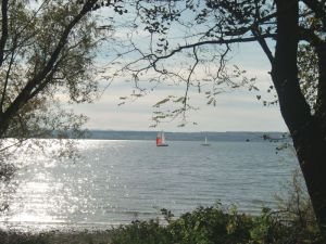 Richtung Hagnau - Bild 30: Ferienwohnung Sauer in Immenstaad - mit herrlichem Panorama-See-/Alpenblick