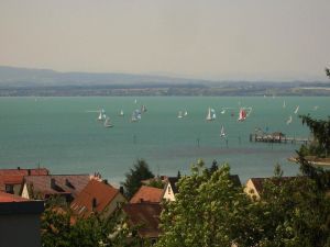 Segelregatta - Bild 15: Ferienwohnung Sauer in Immenstaad - mit herrlichem Panorama-See-/Alpenblick