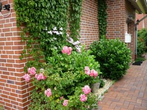 Bild 10: 5-Sterne-Ferienwohnung "Bora" für 4 Personen mit Hund in Ostfriesland