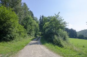 Bild 39: 4 Sterne Ferienwohnung Kornkammer im Sauerland