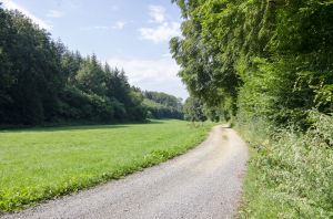 Bild 42: 4 Sterne Ferienwohnung Kornkammer im Sauerland