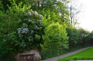 Bild 28: 4 Sterne Ferienwohnung Kornkammer im Sauerland