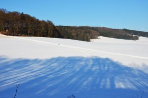 Bild 47: 4 Sterne Ferienwohnung Kornkammer im Sauerland