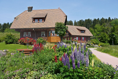 Bild: 4-Sterne-Traum-FeHaus im Schwarzwald, stadtnah und trotzdem ruhig gelegen