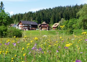 Bild 16: 4-Sterne-Traum-FeHaus im Schwarzwald, stadtnah und trotzdem ruhig gelegen