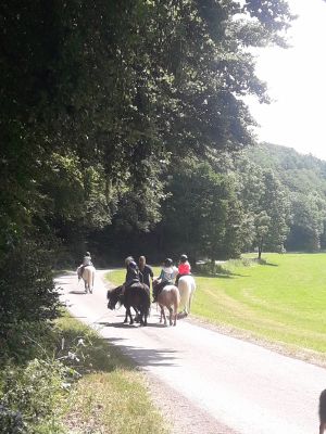 Ponyreiten auf Jacky, Pünktchen, Luke und Rocky macht einfach nur Spaß! - Bild 2: Ferienhof Schmiddes, Fewo Waschbärenhöhle