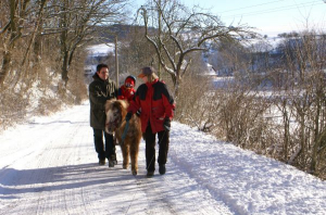 Ponyreiten im Winter. - Bild 18: Ferienhof Schmiddes, Fewo Waschbärenhöhle