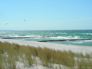 Ostseestrand... Sand, Sonne, Wind und Wellen - die Strände sind wundervoll - so lockt die Ostsee im Sommer. Kilometer langer Sandstrand lädt im Frühling, Herbst und Winter zu langen Spaziergängen ein, die Ruhe und die frische Seeluft sind Balsam für Körper und Seele. Geniesen Sie Natur.
Mit dem Auto in ca. 4km (es gibt auch ein Hundestrand) zuerreichen. - Bild 16: Ostseeurlaub mit Hund - Wassergrundstück - Angeln
