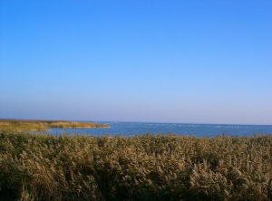 Natur pur.
Mit dem Fahrrad auf dem Deich, immer am Bodden lang, ist ein Vergnügen. Schöne Fahrradwege ziehen sich durch den ganzen Nationalpark "Vorpommersche Boddenlandschaft" - Bild 18: Ostseeurlaub mit Hund - Wassergrundstück - Angeln
