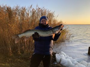 Bild 11: Ostseeurlaub mit Hund - Wassergrundstück - Angeln