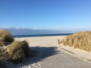 in ca. 4 km - Bild 14: Ostseeurlaub mit Hund - Wassergrundstück - Angeln