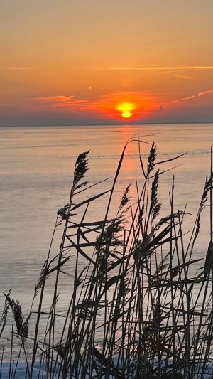 Ostseeurlaub mit Hund auf der Ostseehalbinsel Fischland-Darß-Zingst am Weststrand - Bild 2: Ostseeurlaub mit Hund - Wassergrundstück - Angeln