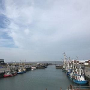 neben dem Strand gelegen und Ausgangspunk für geführte Wattwanderungen
zur Insel Baltrum. - Bild 23: Nordsee / Ostfriesland strandnahes Ferienhaus 1-5 Personen (Hund erlaubt)