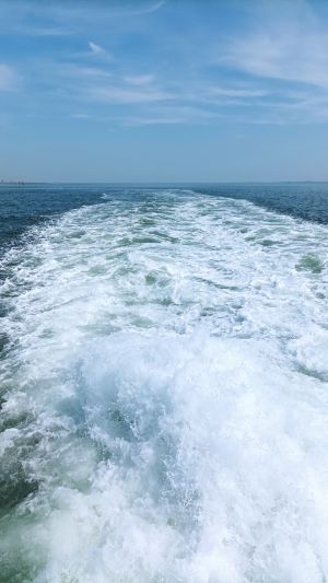 Mit der Fähre nach Baltrum - Bild 14: Ferienwohnung 45 qm Nessmersiel 2 Pers. Vierbeiner gerne gesehen!