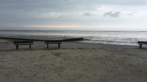 Bild 23: Ferienwohnung 45 qm Nessmersiel 2 Pers. Vierbeiner gerne gesehen!