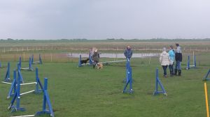 Strand von Nessmersiel - Bild 22: Ferienwohnung 45 qm Nessmersiel 2 Pers. Vierbeiner gerne gesehen!