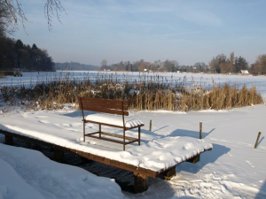 Dargun mit Klostersee im Winter - Bild 33: Ferienhaus Geers am Klosterwald - Dargun