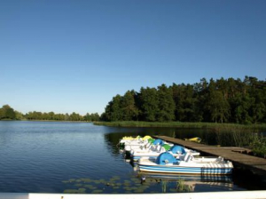 Bild 31: Ferienhaus Geers am Klosterwald - Dargun