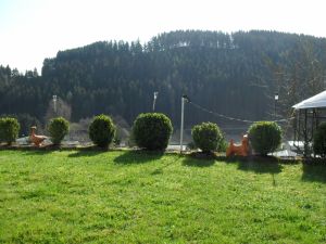 Das große, gepflegte Grundstück mit kleinen Gartenteichen ist kommplett
eingezäunt und ist auch für Ihren Hund ideal. - Bild 3: Ferienwohnung Haus Klinkhammer, Hellenthal, Nordeifel, Nationalpark